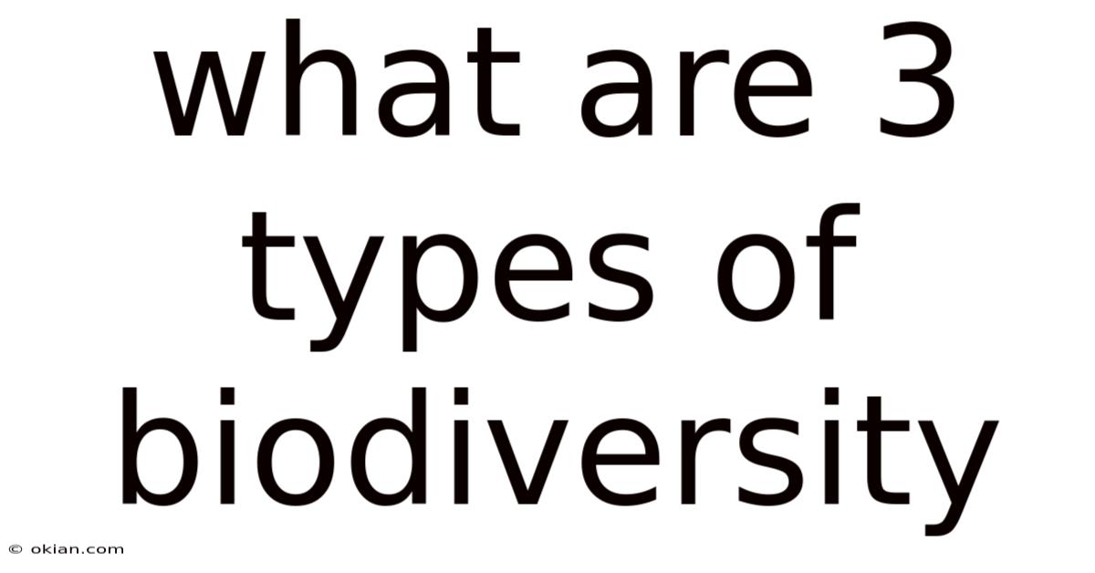 What Are 3 Types Of Biodiversity