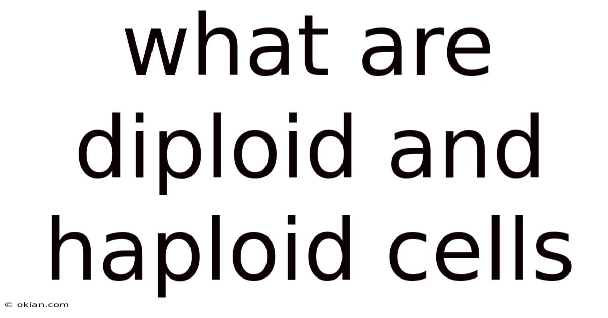 What Are Diploid And Haploid Cells