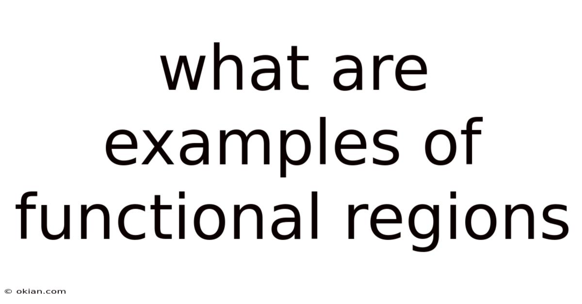 What Are Examples Of Functional Regions