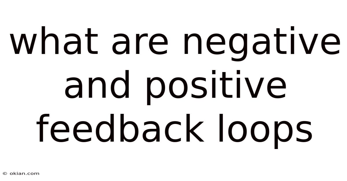 What Are Negative And Positive Feedback Loops