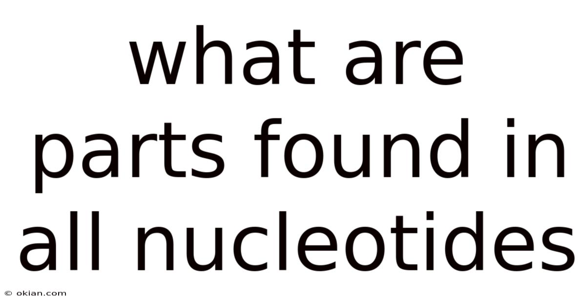 What Are Parts Found In All Nucleotides