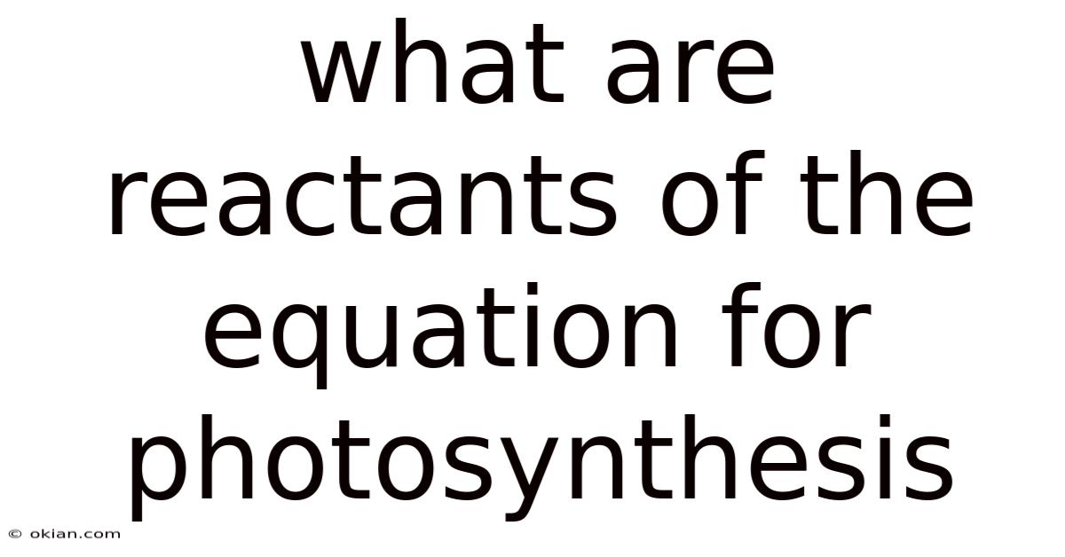 What Are Reactants Of The Equation For Photosynthesis
