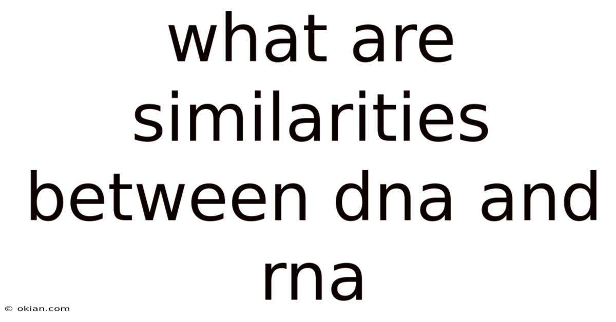 What Are Similarities Between Dna And Rna