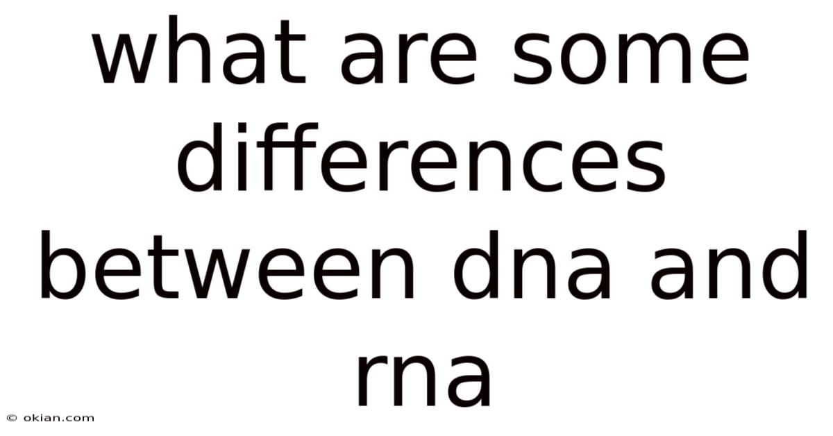 What Are Some Differences Between Dna And Rna