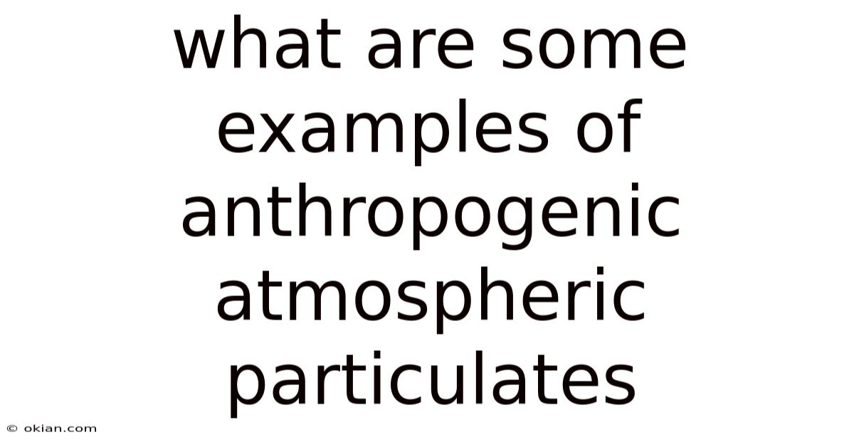 What Are Some Examples Of Anthropogenic Atmospheric Particulates