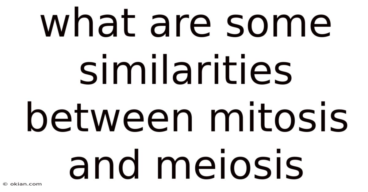 What Are Some Similarities Between Mitosis And Meiosis