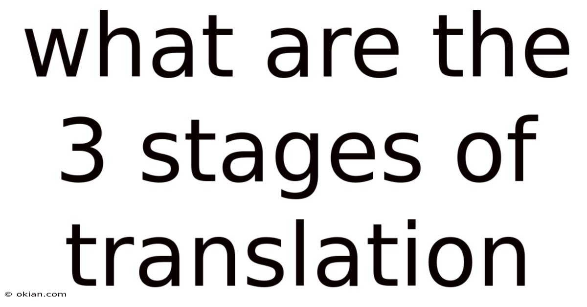 What Are The 3 Stages Of Translation