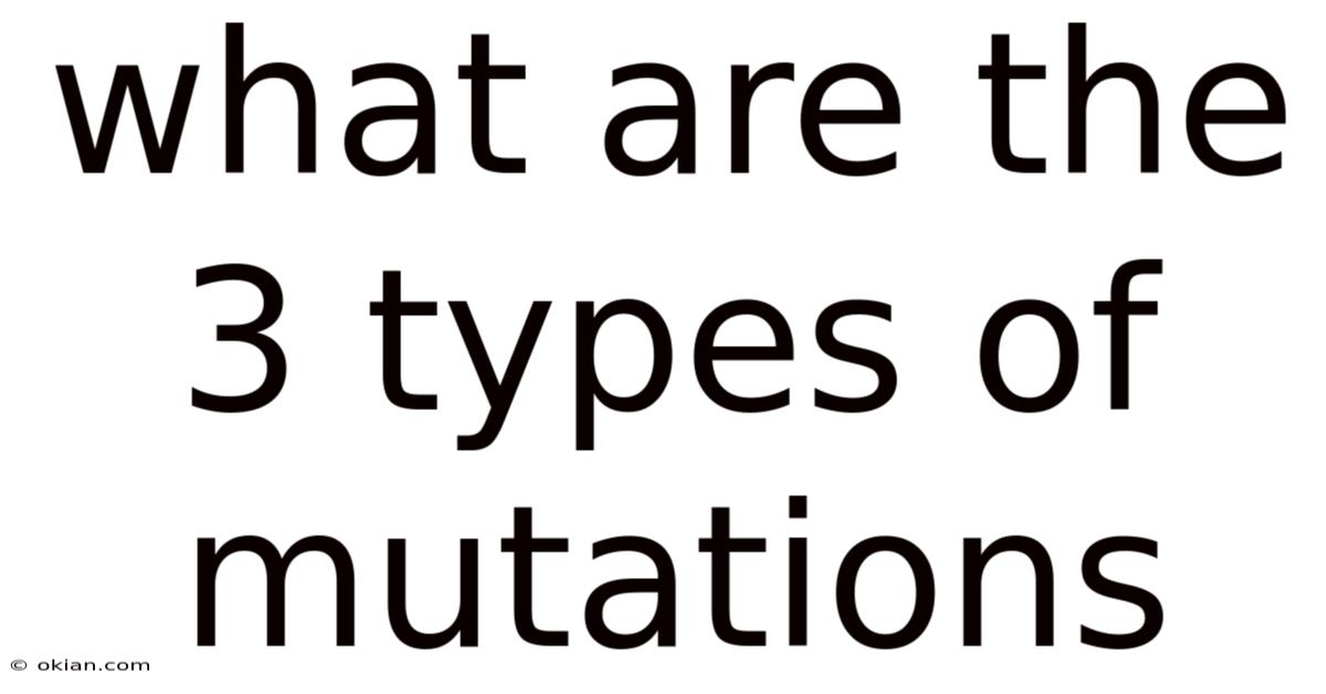 What Are The 3 Types Of Mutations
