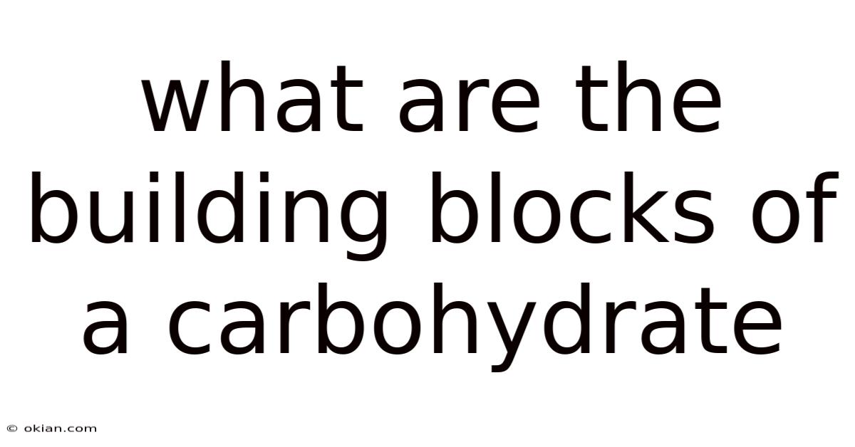 What Are The Building Blocks Of A Carbohydrate