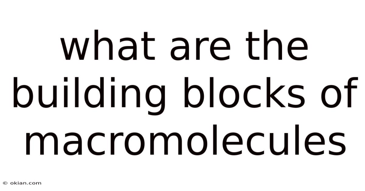 What Are The Building Blocks Of Macromolecules
