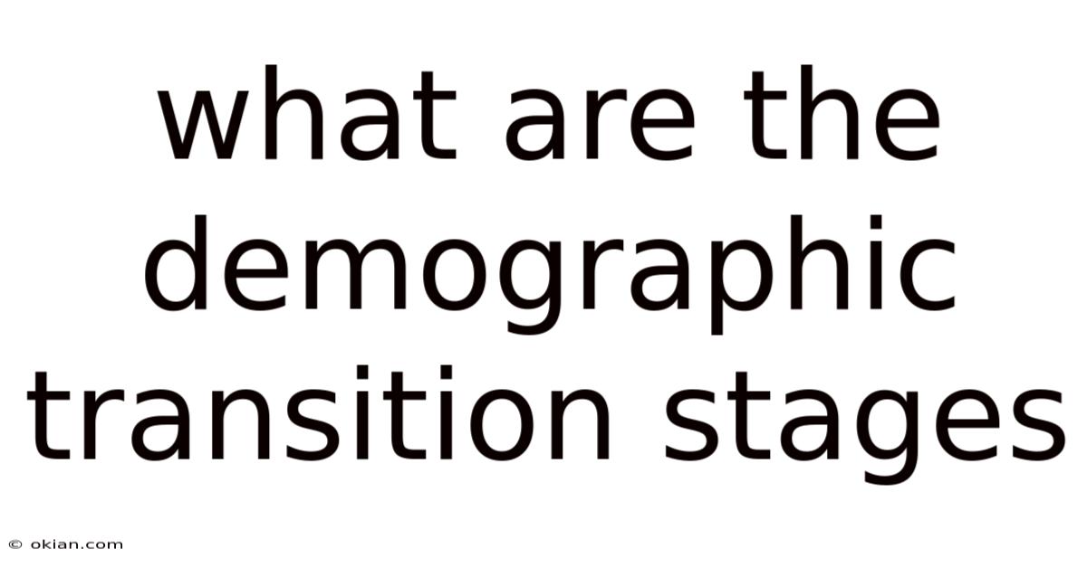 What Are The Demographic Transition Stages