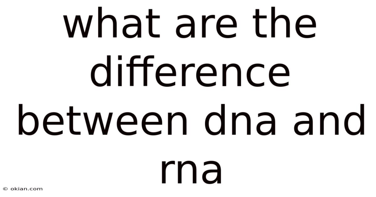 What Are The Difference Between Dna And Rna