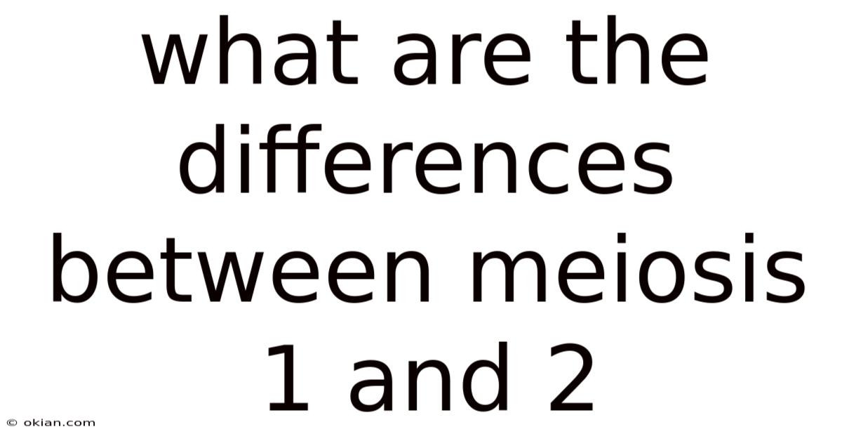 What Are The Differences Between Meiosis 1 And 2