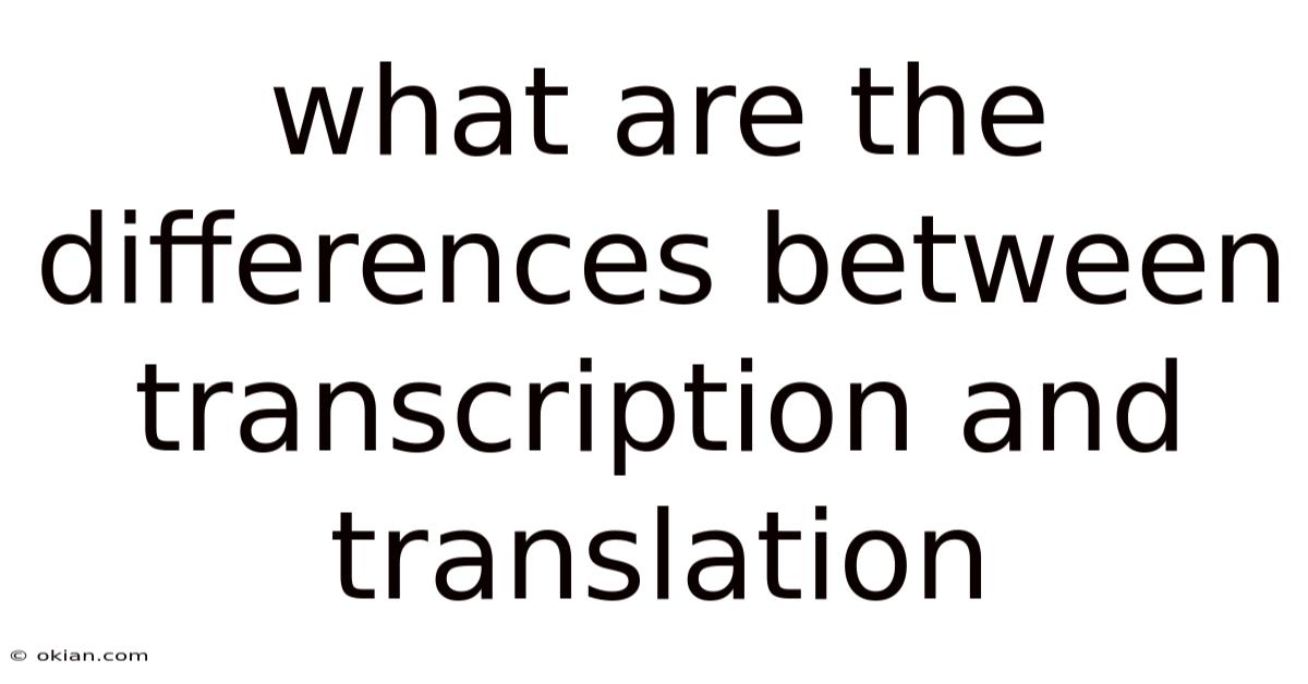 What Are The Differences Between Transcription And Translation