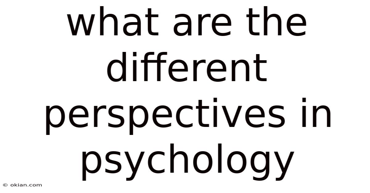 What Are The Different Perspectives In Psychology