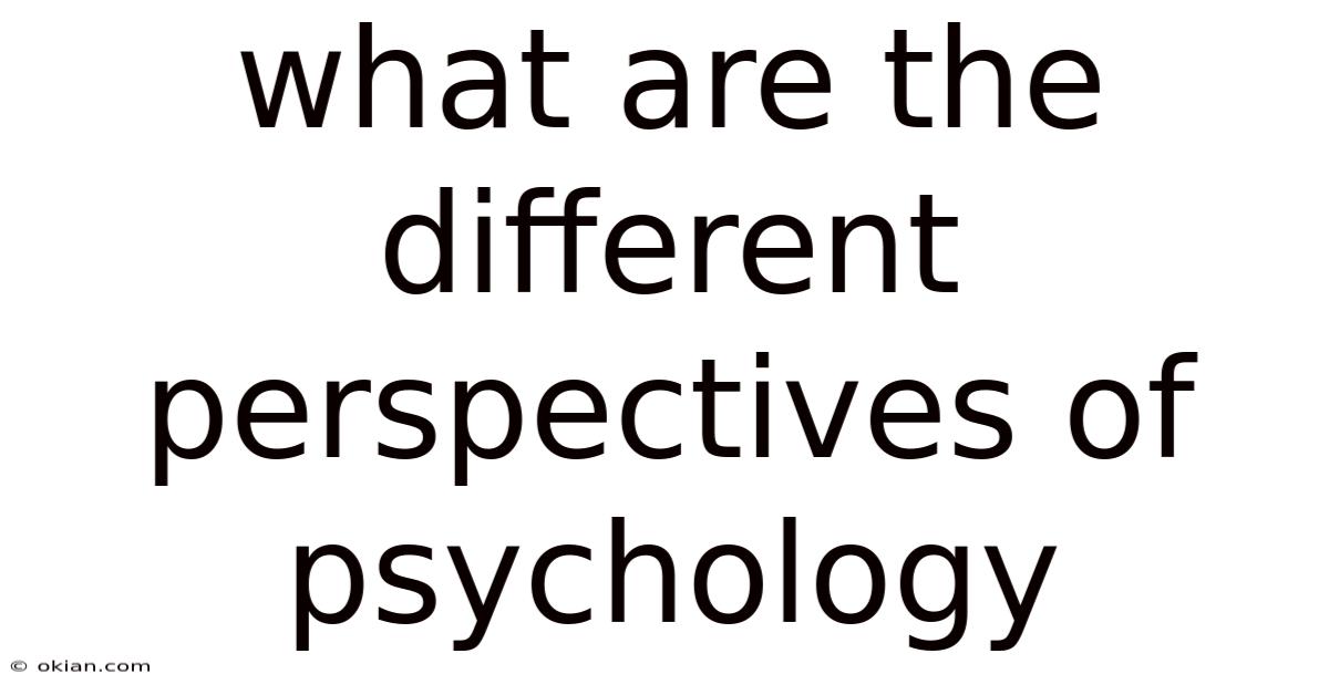 What Are The Different Perspectives Of Psychology