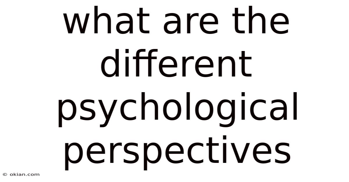 What Are The Different Psychological Perspectives