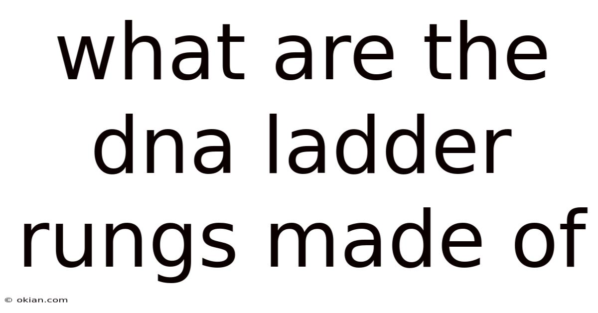 What Are The Dna Ladder Rungs Made Of