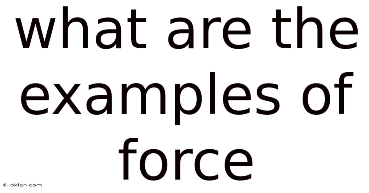 What Are The Examples Of Force