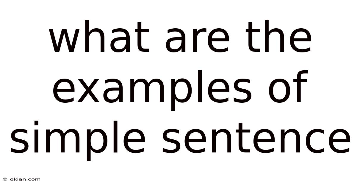 What Are The Examples Of Simple Sentence