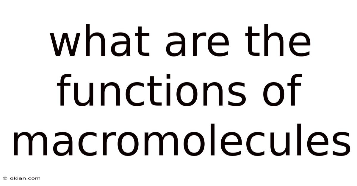 What Are The Functions Of Macromolecules