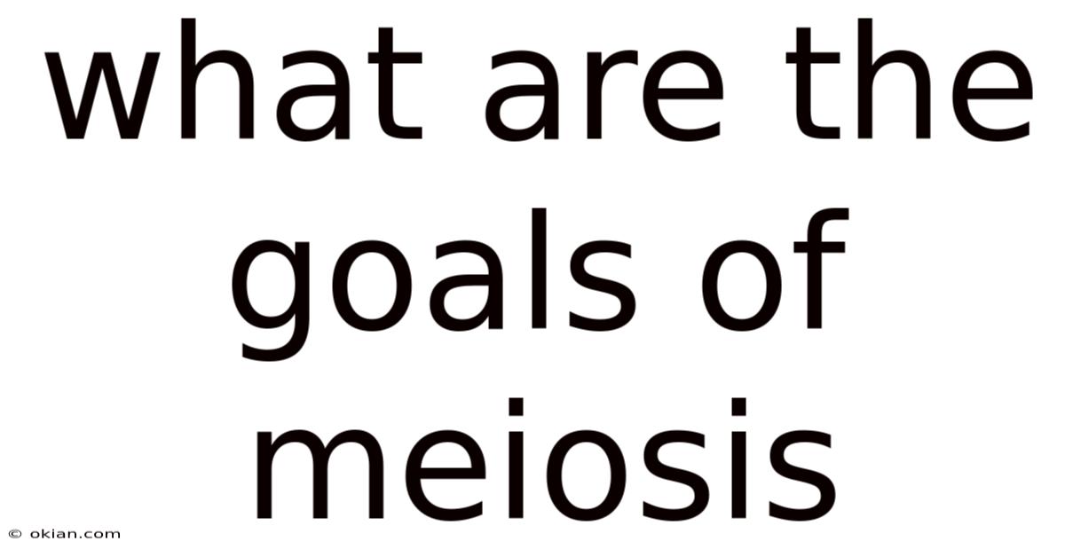 What Are The Goals Of Meiosis