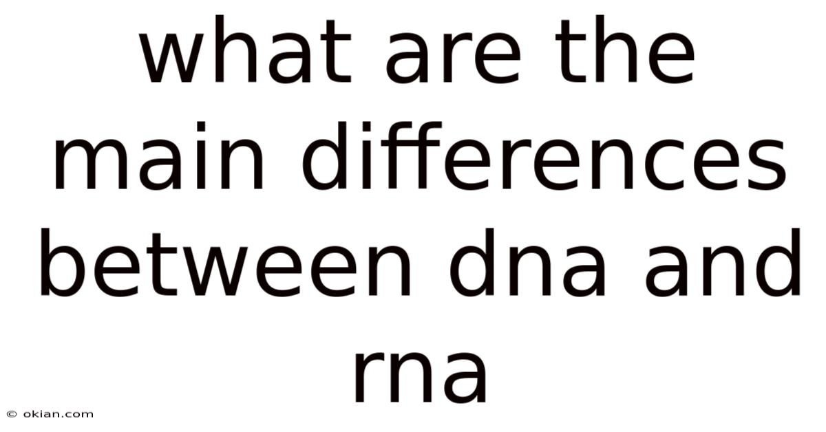 What Are The Main Differences Between Dna And Rna