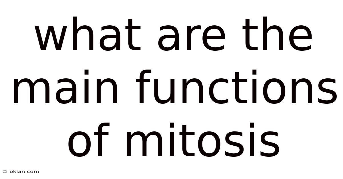 What Are The Main Functions Of Mitosis