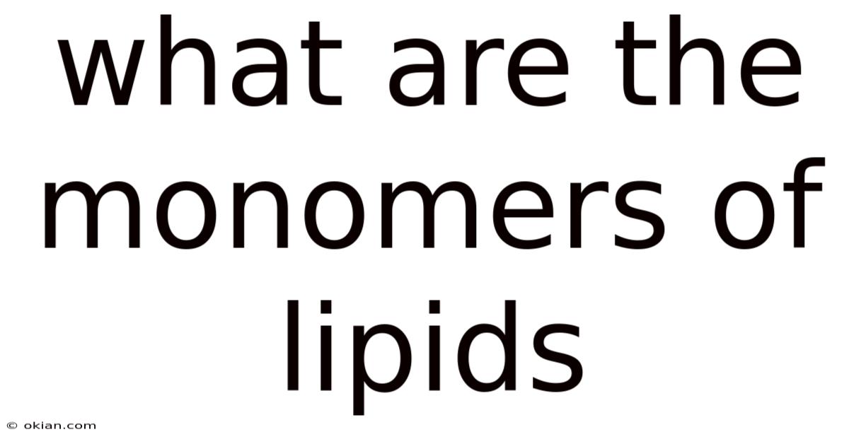 What Are The Monomers Of Lipids