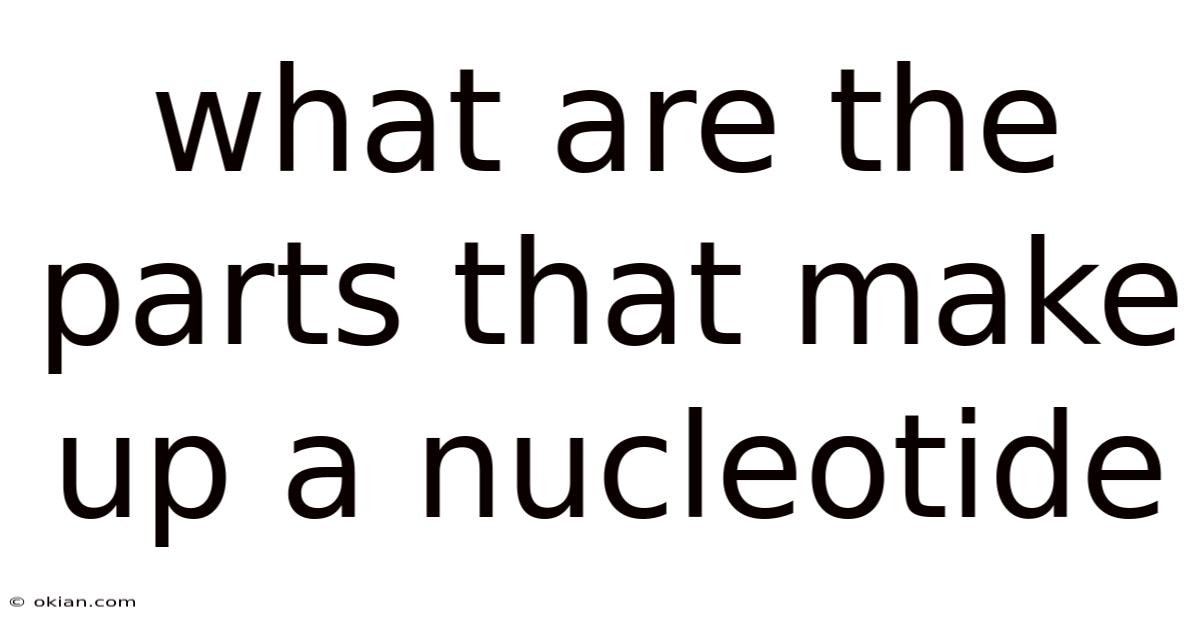 What Are The Parts That Make Up A Nucleotide