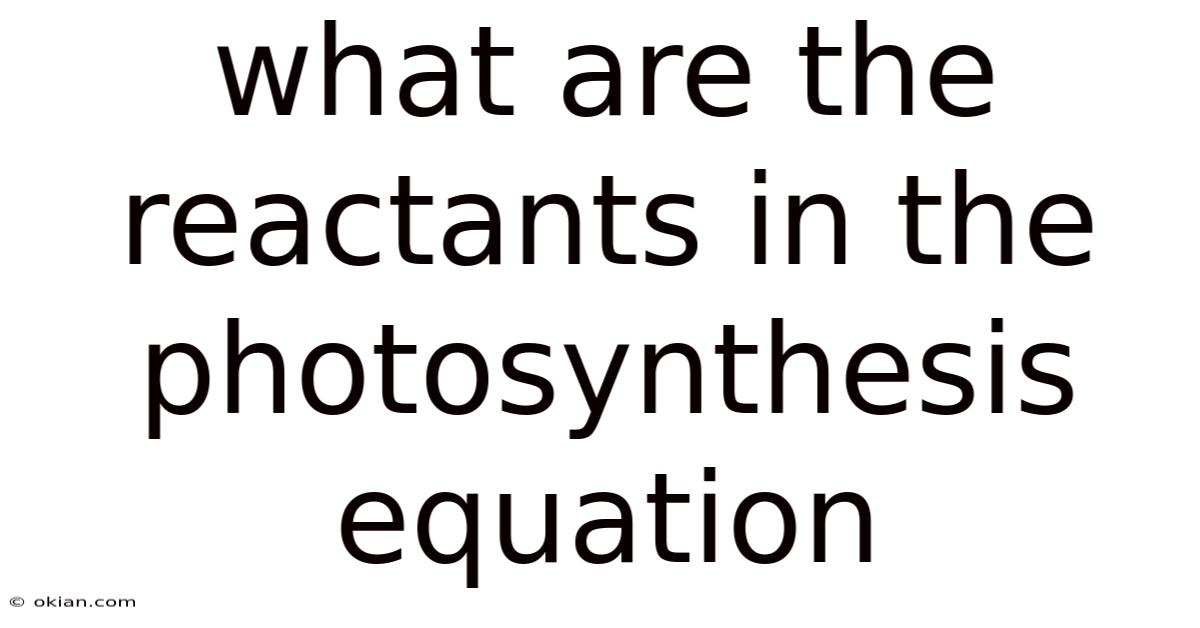 What Are The Reactants In The Photosynthesis Equation