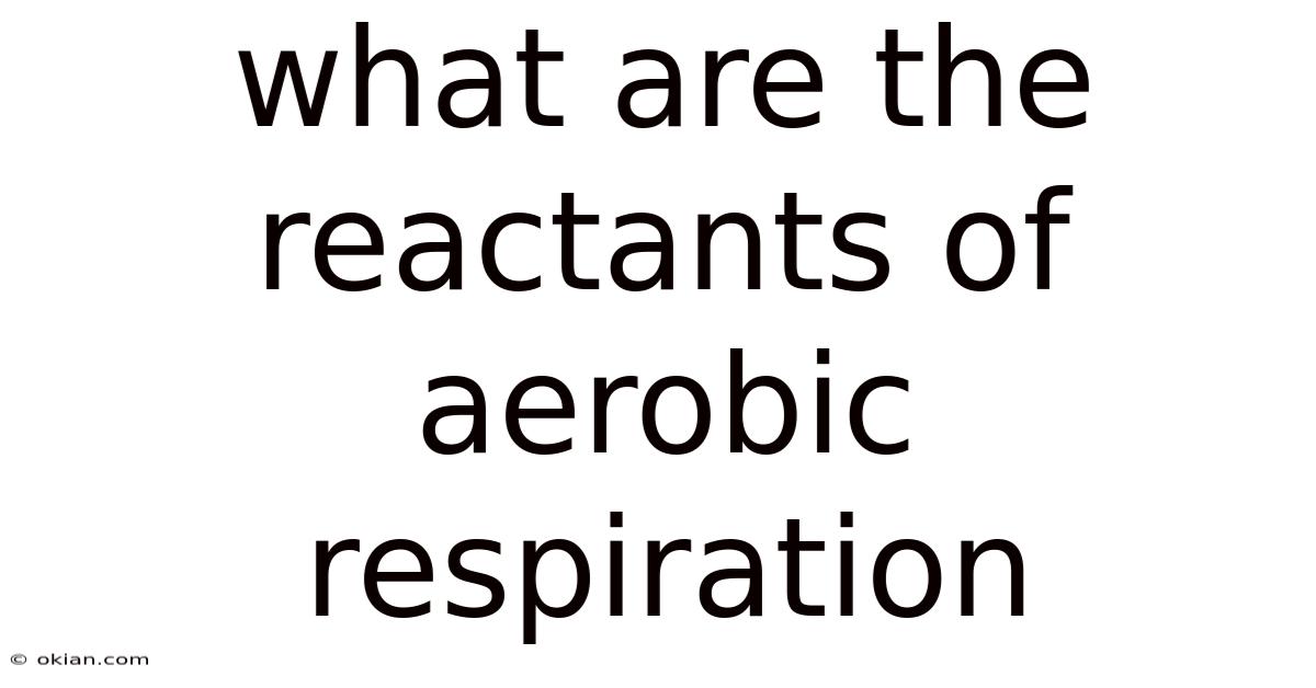 What Are The Reactants Of Aerobic Respiration