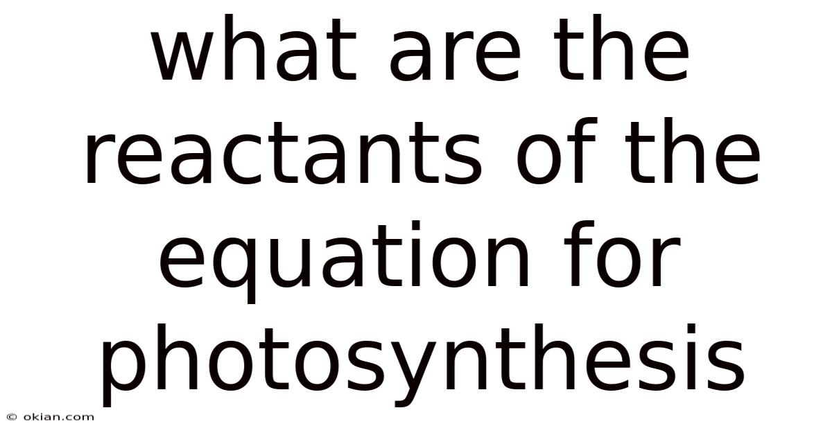 What Are The Reactants Of The Equation For Photosynthesis
