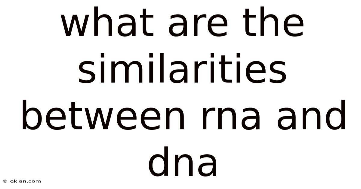What Are The Similarities Between Rna And Dna