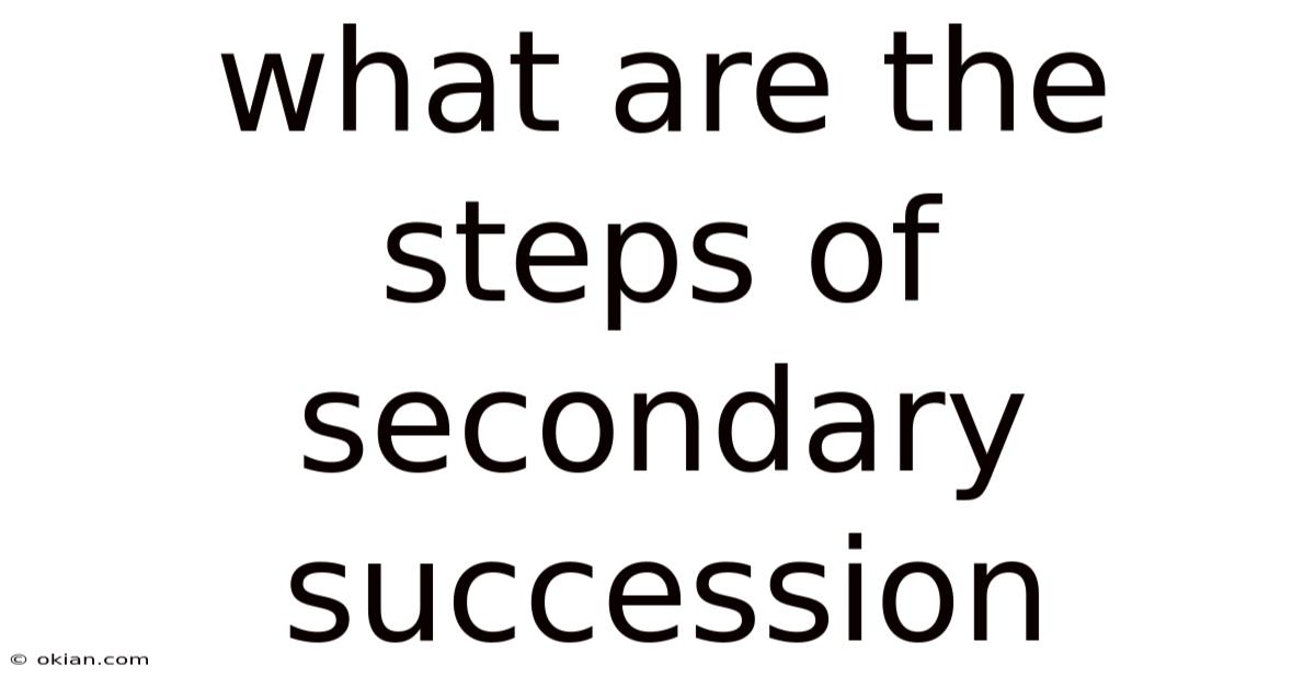 What Are The Steps Of Secondary Succession