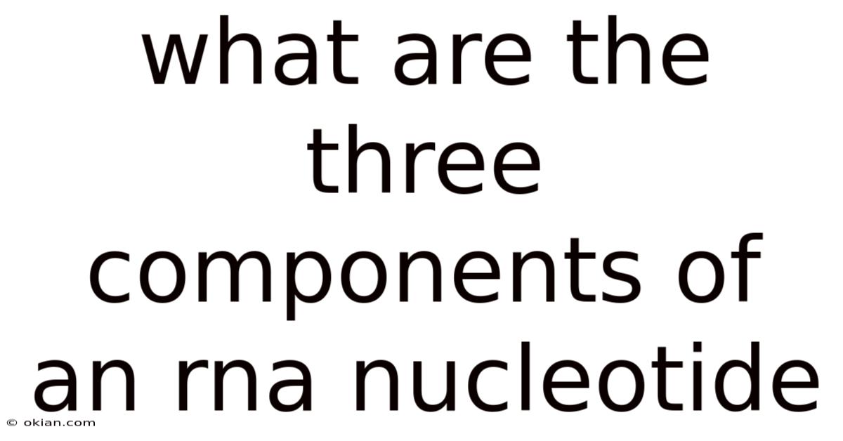 What Are The Three Components Of An Rna Nucleotide