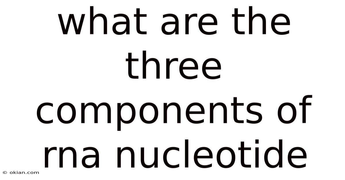 What Are The Three Components Of Rna Nucleotide