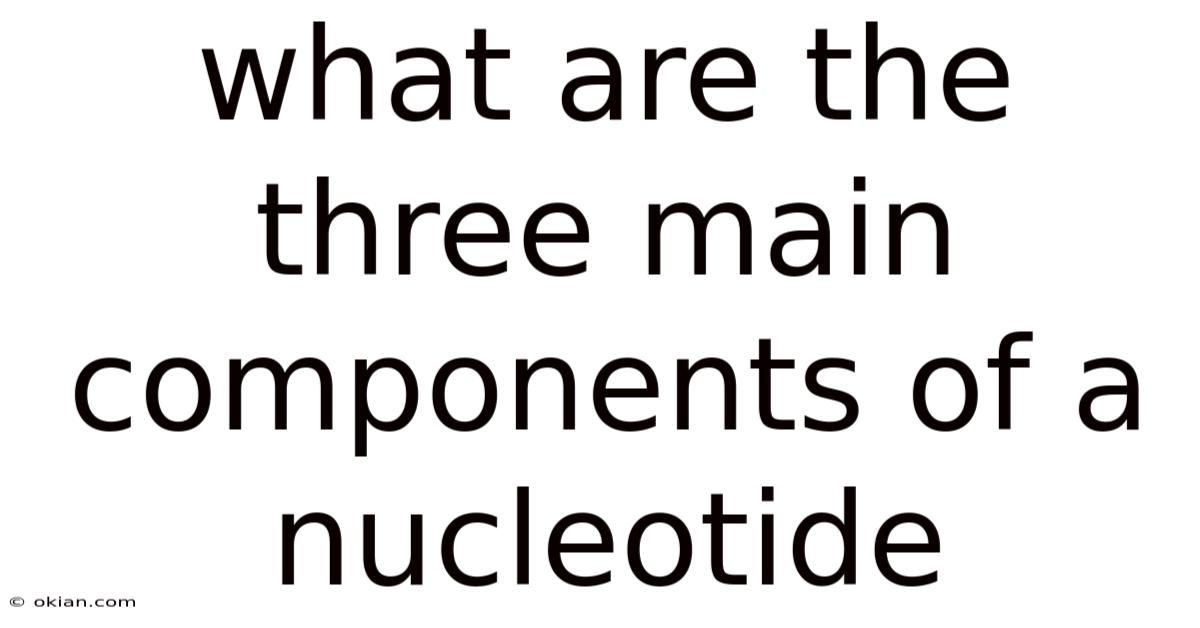 What Are The Three Main Components Of A Nucleotide
