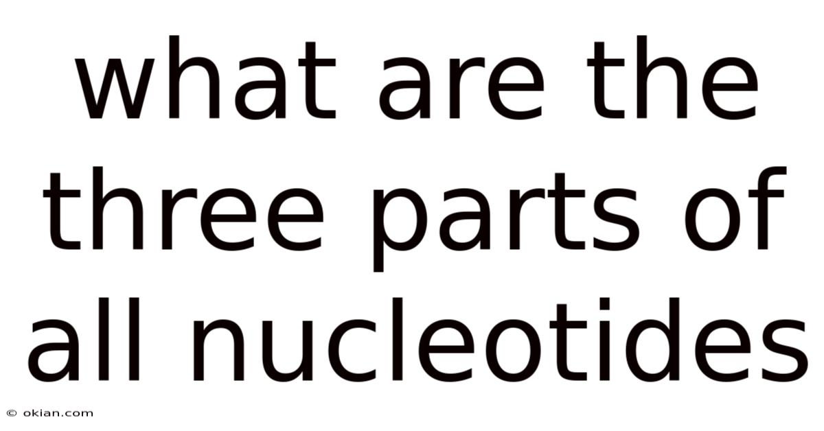What Are The Three Parts Of All Nucleotides