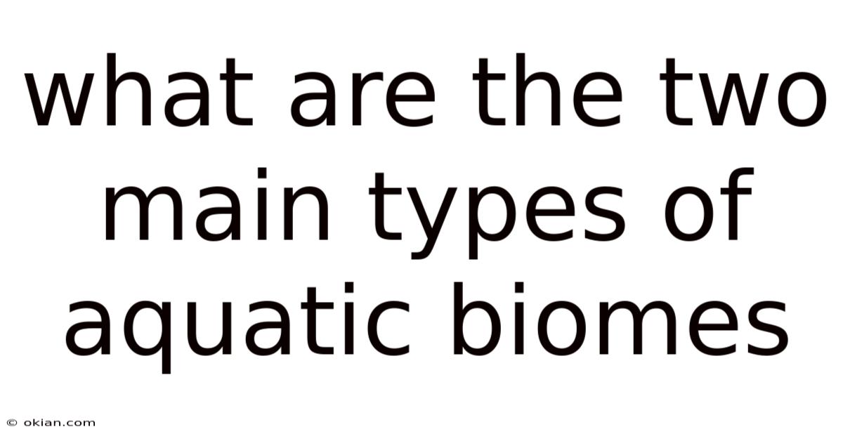 What Are The Two Main Types Of Aquatic Biomes