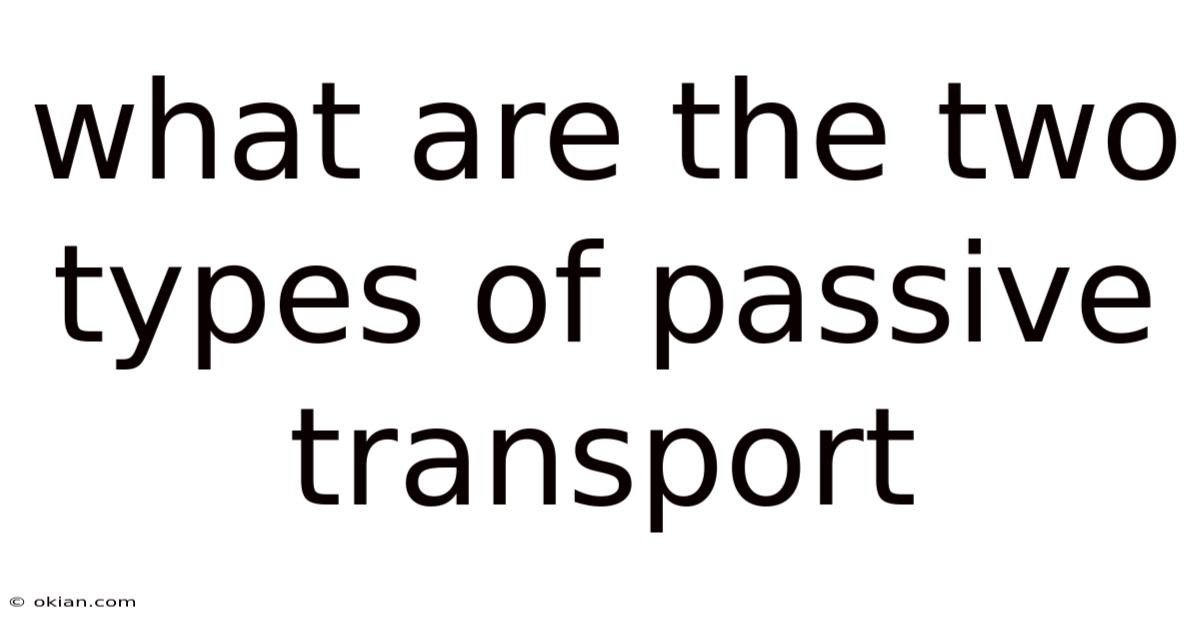 What Are The Two Types Of Passive Transport