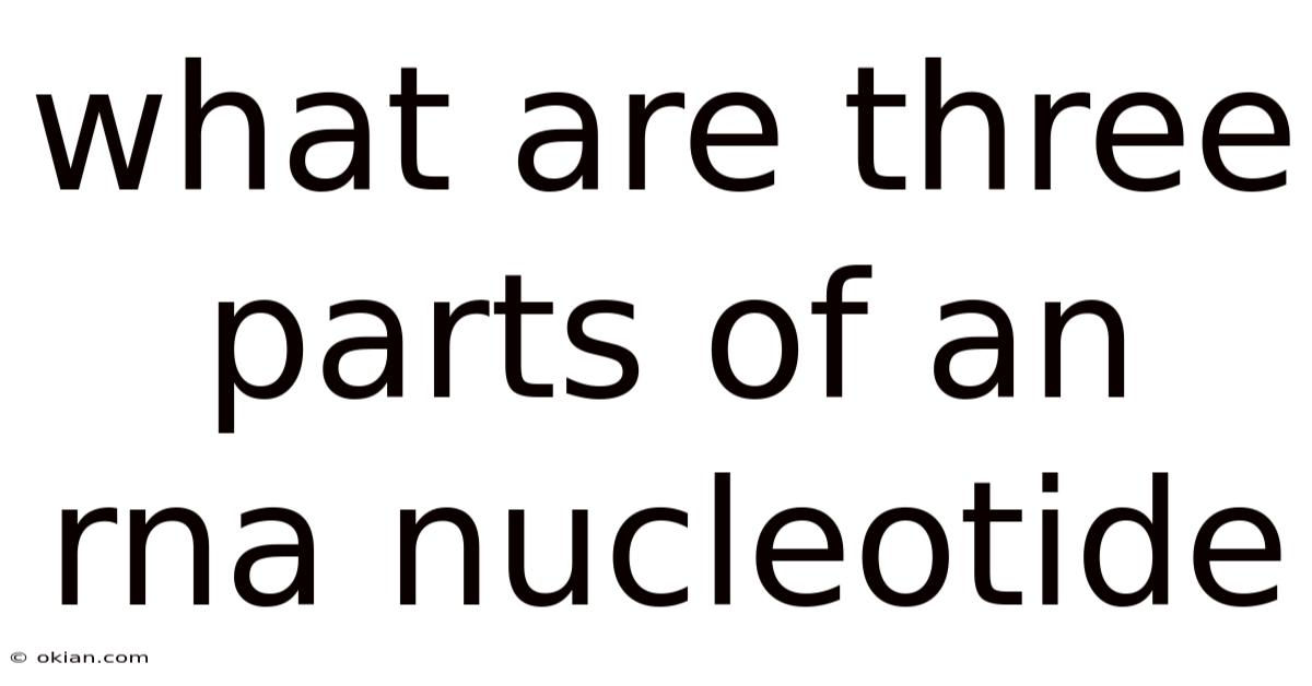 What Are Three Parts Of An Rna Nucleotide