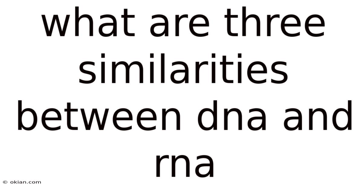 What Are Three Similarities Between Dna And Rna