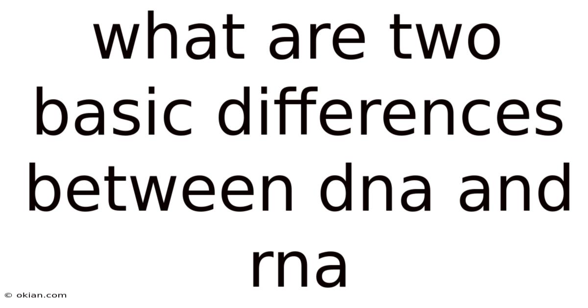 What Are Two Basic Differences Between Dna And Rna
