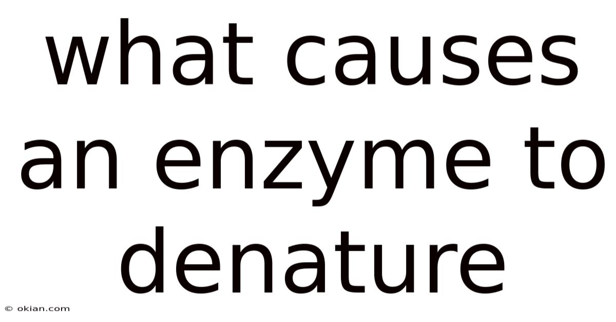 What Causes An Enzyme To Denature