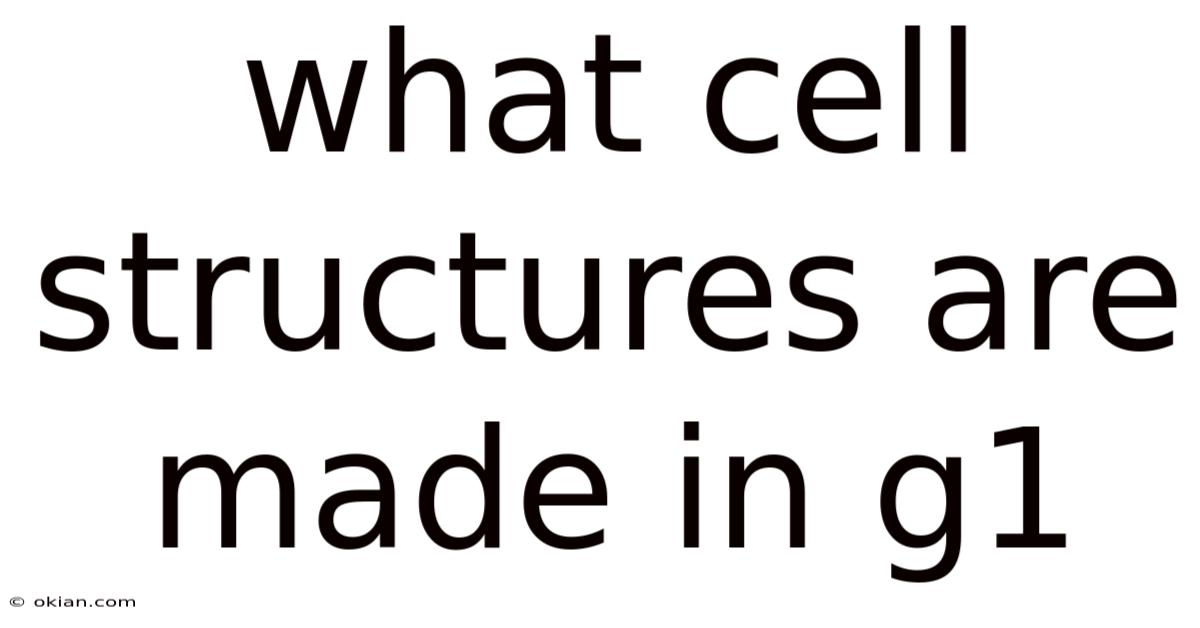 What Cell Structures Are Made In G1