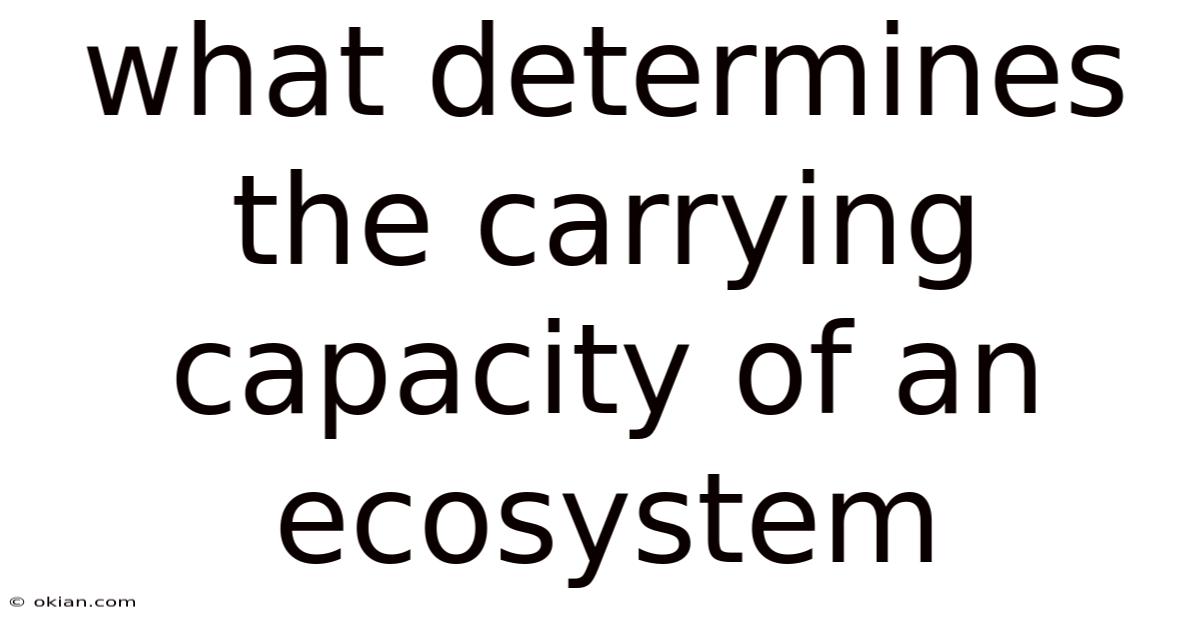 What Determines The Carrying Capacity Of An Ecosystem
