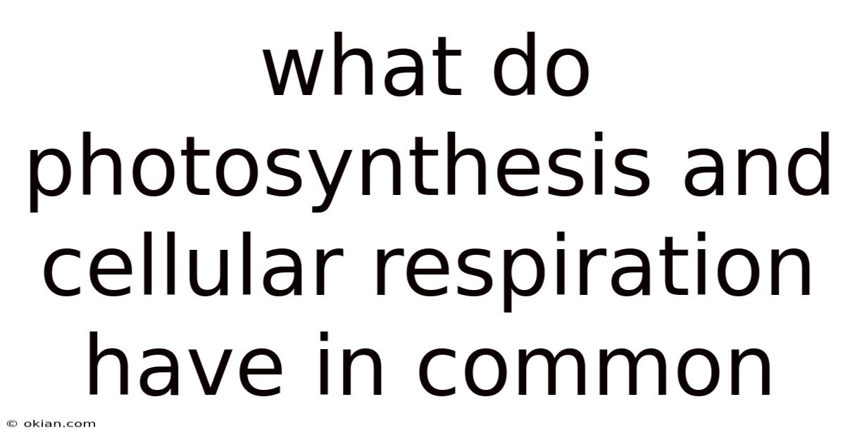 What Do Photosynthesis And Cellular Respiration Have In Common