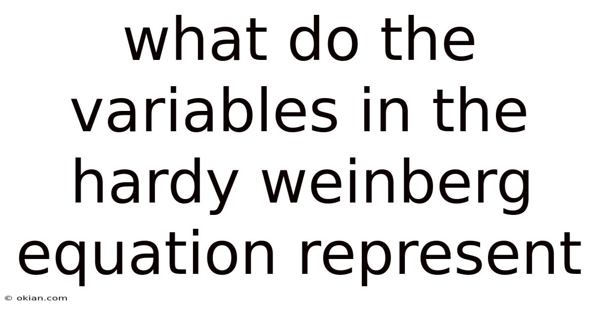 What Do The Variables In The Hardy Weinberg Equation Represent