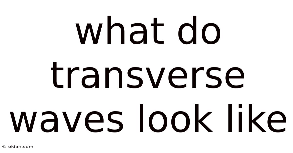 What Do Transverse Waves Look Like